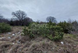 ISTRA, BARBAN - Građevinsko zemljište s pogledom na more i prirodu, Barban, Land