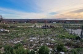 ISTRA, BARBARIGA - Poljoprivredno zemljište 550 m2, pogled na more, Vodnjan, Land