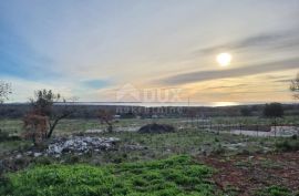 ISTRA, BARBARIGA - Poljoprivredno zemljište 550 m2, pogled na more, Vodnjan, Land