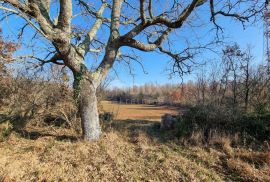 ISTRA, VODNJAN Kompleks građevinskog i poljoprivrednog zemljišta 5 ha, s ruševinom 50 m2, Vodnjan, Земля