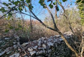 ISTRA, VODNJAN Kompleks građevinskog i poljoprivrednog zemljišta 5 ha, s ruševinom 50 m2, Vodnjan, Земля