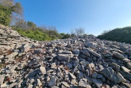 ISTRA, FAŽANA Predivan maslinik s kućicom - BLIZINA MORA!!, Fažana, Land