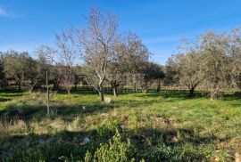 ISTRA, ROVINJ - Kuća s prekrasnim vinogradom i maslinikom, Rovinj, House