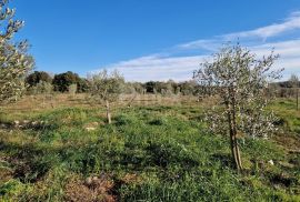 ISTRA, ROVINJ - Kuća s prekrasnim vinogradom i maslinikom, Rovinj, House