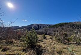 ISTRA, PAZIN - Istarska kamena kuća u srcu prirode, na prostranoj okućnici, Pazin, Casa