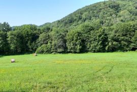 ISTRA, PAZIN - Istarska kamena kuća u srcu prirode, na prostranoj okućnici, Pazin, Casa