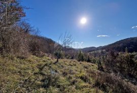 ISTRA, PAZIN - Istarska kamena kuća u srcu prirode, na prostranoj okućnici, Pazin, Casa