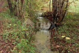 ISTRA, PAZIN - Istarska kamena kuća u srcu prirode, na prostranoj okućnici, Pazin, Casa