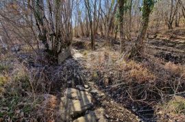 ISTRA, PAZIN - Istarska kamena kuća u srcu prirode, na prostranoj okućnici, Pazin, Casa