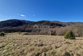 ISTRA, PAZIN - Istarska kamena kuća u srcu prirode, na prostranoj okućnici, Pazin, Casa