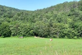 ISTRA, PAZIN - Istarska kamena kuća u srcu prirode, na prostranoj okućnici, Pazin, Casa