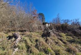 ISTRA, PAZIN - Istarska kamena kuća u srcu prirode, na prostranoj okućnici, Pazin, Casa