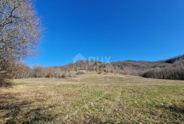 ISTRA, PAZIN - Istarska kamena kuća u srcu prirode, na prostranoj okućnici, Pazin, Casa