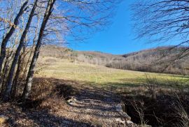 ISTRA, PAZIN - Istarska kamena kuća u srcu prirode, na prostranoj okućnici, Pazin, Casa