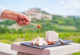 ISTRA, MOTOVUN - Poslovni prostor na jedinstvenom položaju i s jedinstvenom ponudom u Istri, Motovun, Poslovni prostor