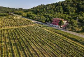 ISTRA, MOTOVUN - Poslovni prostor na jedinstvenom položaju i s jedinstvenom ponudom u Istri, Motovun, Poslovni prostor