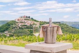 ISTRA, MOTOVUN - Poslovni prostor na jedinstvenom položaju i s jedinstvenom ponudom u Istri, Motovun, Poslovni prostor