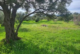 ZADAR, BIBINJE - zemljište za gradnju više stambenih jedinica, Bibinje, Terrain