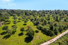 ISTRA, POREČ - Zemljište 1. red do mora turističke namjene, Poreč, أرض