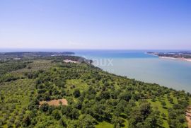 ISTRA, POREČ - Zemljište 1. red do mora turističke namjene, Poreč, Terra