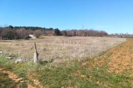 ISTRA, POREČ - Poljoprivredno zemljište, Poreč, Terrain