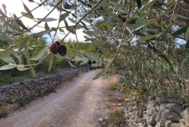 Otok Krk, Šilo -  Očišćeno, ravno poljoprivredno zemljište, buduće građevinsko, 600m do prekrasnih plaža, mora i supermarketa s pristupnim putem !, Dobrinj, Земля