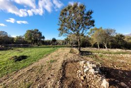 Otok Krk, Šilo -  Očišćeno, ravno poljoprivredno zemljište, buduće građevinsko, 600m do prekrasnih plaža, mora i supermarketa s pristupnim putem !, Dobrinj, Земля