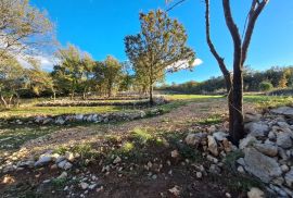 Otok Krk, Šilo -  Očišćeno, ravno poljoprivredno zemljište, buduće građevinsko, 600m do prekrasnih plaža, mora i supermarketa s pristupnim putem !, Dobrinj, Земля