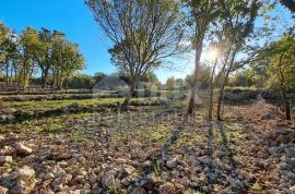 Otok Krk, Šilo -  Očišćeno, ravno poljoprivredno zemljište, buduće građevinsko, 600m do prekrasnih plaža, mora i supermarketa s pristupnim putem !, Dobrinj, Земля