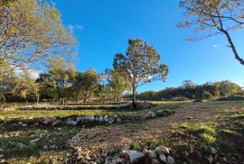 Otok Krk, Šilo -  Očišćeno, ravno poljoprivredno zemljište, buduće građevinsko, 600m do prekrasnih plaža, mora i supermarketa s pristupnim putem !, Dobrinj, Земля