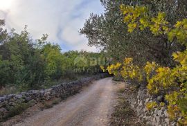 Otok Krk, Šilo -  Očišćeno, ravno poljoprivredno zemljište, buduće građevinsko, 600m do prekrasnih plaža, mora i supermarketa s pristupnim putem !, Dobrinj, Земля