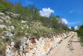 ISTRA, BUZET - Poljoprivredno zemljište, Buzet, Земля