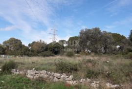 ISTRA, PULA- Građevinsko zemljište, Pula, Land