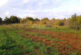 ISTRA, SVETVINČENAT - Zemljište s mogućnosti izgradnje energetskih građevina iz obnovljivih izvora energije, Svetvinčenat, أرض