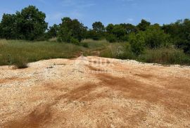 ISTRA, BARABAN - Građevinsko zemljište na rubu naselja, Barban, Tierra