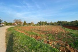 ISTRA, GRAČIŠĆE - Građevinsko zemljište, Gračišće, Land