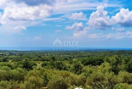 ISTRA, VIŠNJAN - Vila s koje se pruža panoramski pogled, Višnjan, Kuća