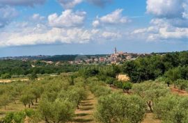 ISTRA, VIŠNJAN - Vila s koje se pruža panoramski pogled, Višnjan, Kuća