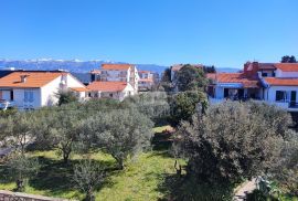 OTOK PAG, NOVALJA (CENTAR) - Samostojeća kuća s tri apartmana i bazenom, Novalja, Maison