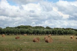 ISTRA - Super atraktivan građevinski teren, 16.000 m2, Pula, Zemljište