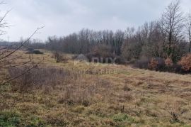 ISTRA, SVETI PETAR U ŠUMI - Prostrani kompleks zemljišta, Sveti Petar U Šumi, Terra