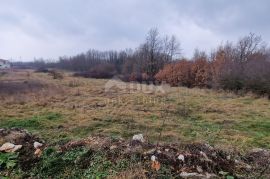 ISTRA, SVETI PETAR U ŠUMI - Prostrani kompleks zemljišta, Sveti Petar U Šumi, Terra