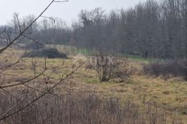 ISTRA, SVETI PETAR U ŠUMI - Prostrani kompleks zemljišta, Sveti Petar U Šumi, Terra