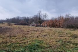 ISTRA, SVETI PETAR U ŠUMI - Prostrani kompleks zemljišta, Sveti Petar U Šumi, Terra