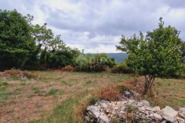 ISTRA, PIĆAN - Građevinsko zemljište prekrasnog pogleda, Pićan, Terrain