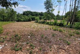 ISTRA, TINJAN - Građevinsko zemljište na mirnoj i tihoj lokaciji, Tinjan, Arazi