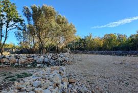 Otok Krk, Šilo -  Očišćen, ravan MASLINIK, buduće građevinsko, 600m do prekrasnih plaža, mora i supermarketa s pristupnim putem !, Dobrinj, Γη