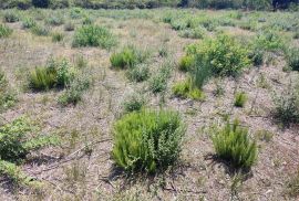 ISTRA, PULA - Zemljište 5 837 m2 od kojeg je 1 000 m2 građevinskog!, Pula, Zemljište