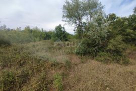 ISTRA, PEROJ - Poljoprivredno zemljište 613 m2, Vodnjan, Terreno