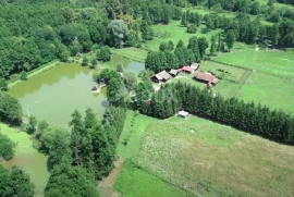 NAŠICE - Obiteljsko imanje od 1 hektara, Našice, Terrain